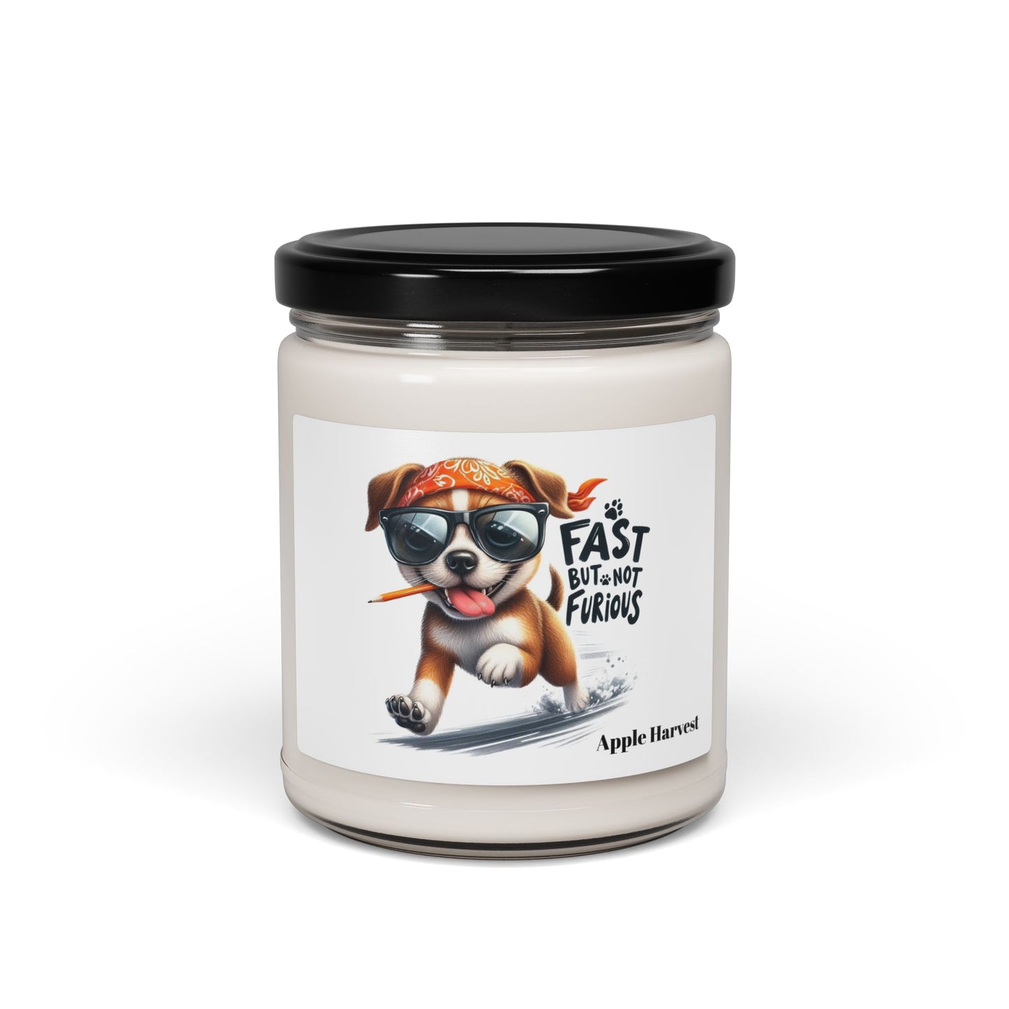 Fast But Not Furious Scented Soy Candle – Funny Shih Tzu Dog Gift