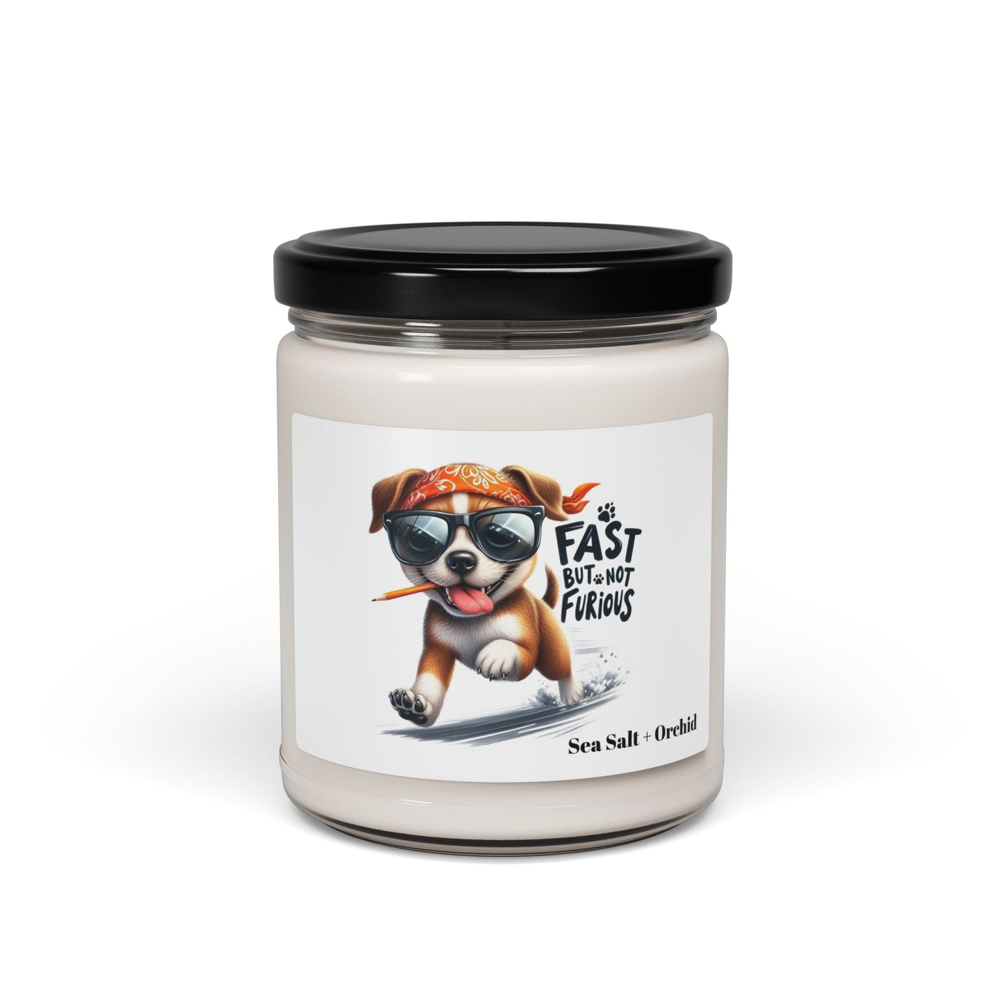 Fast But Not Furious Scented Soy Candle – Funny Shih Tzu Dog Gift
