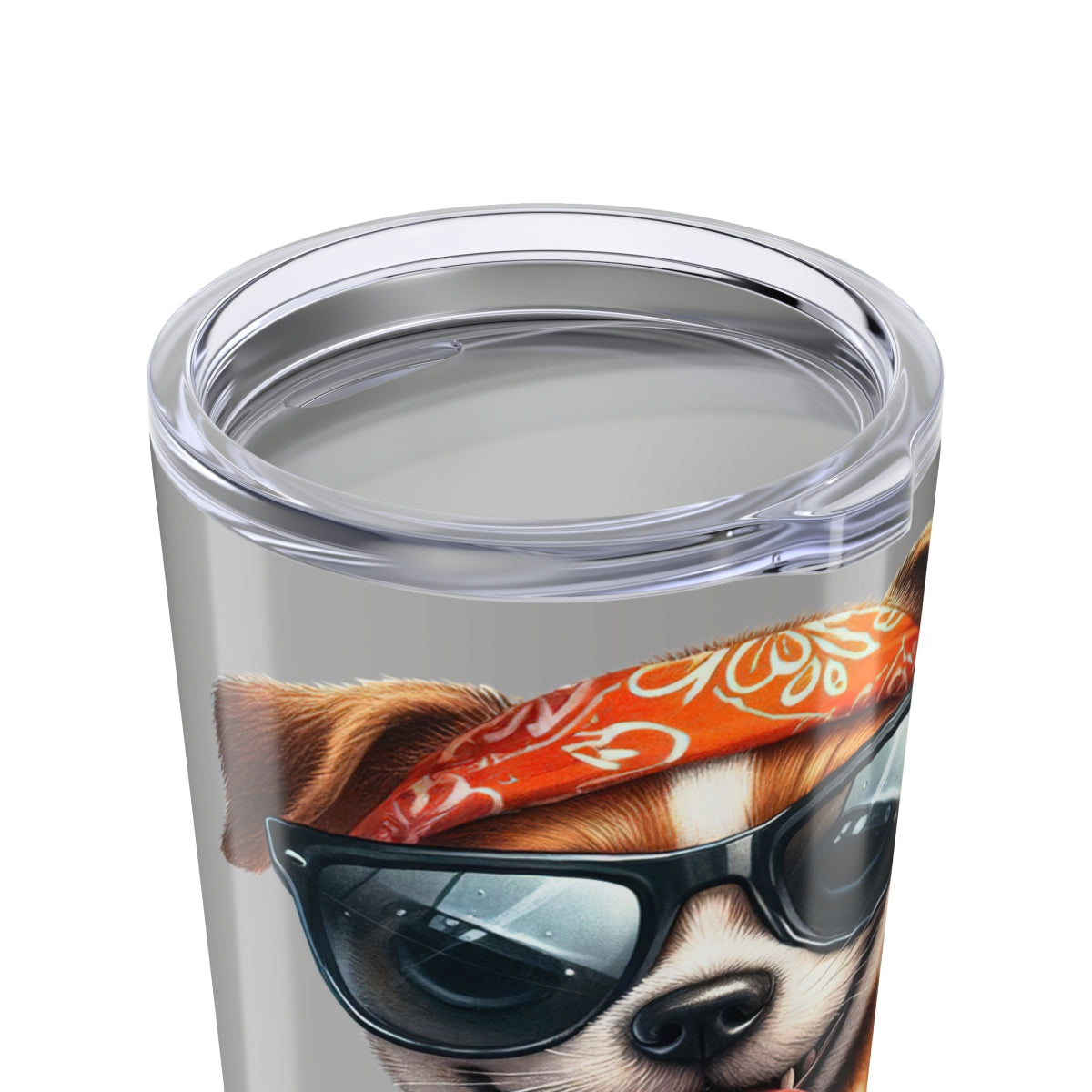 Fast But Not Furious Tumbler – 20oz Insulated Funny Dog Lover Gift