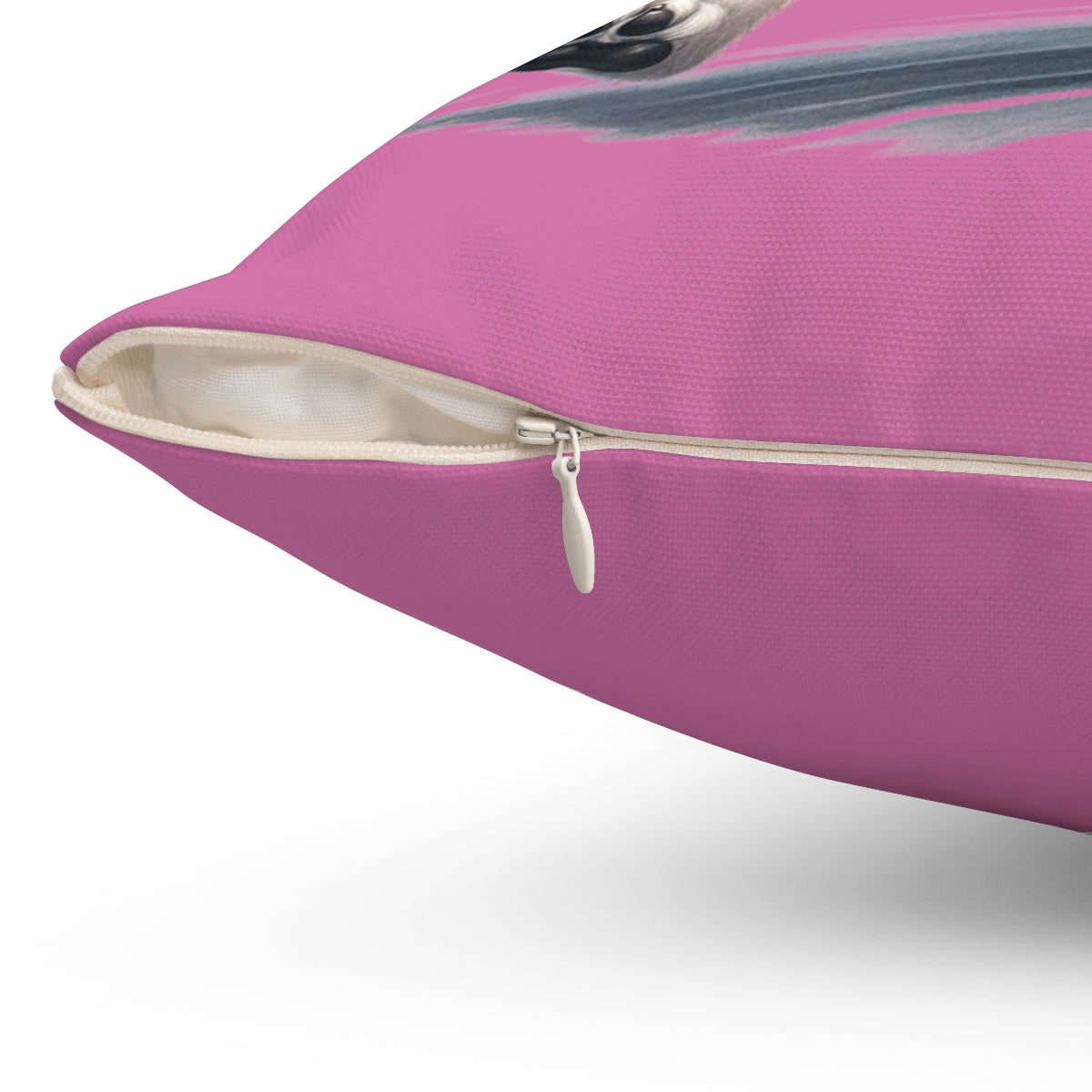 Fast But Not Furious Dog Pillow – Funny Gift for Chill Dog Lovers