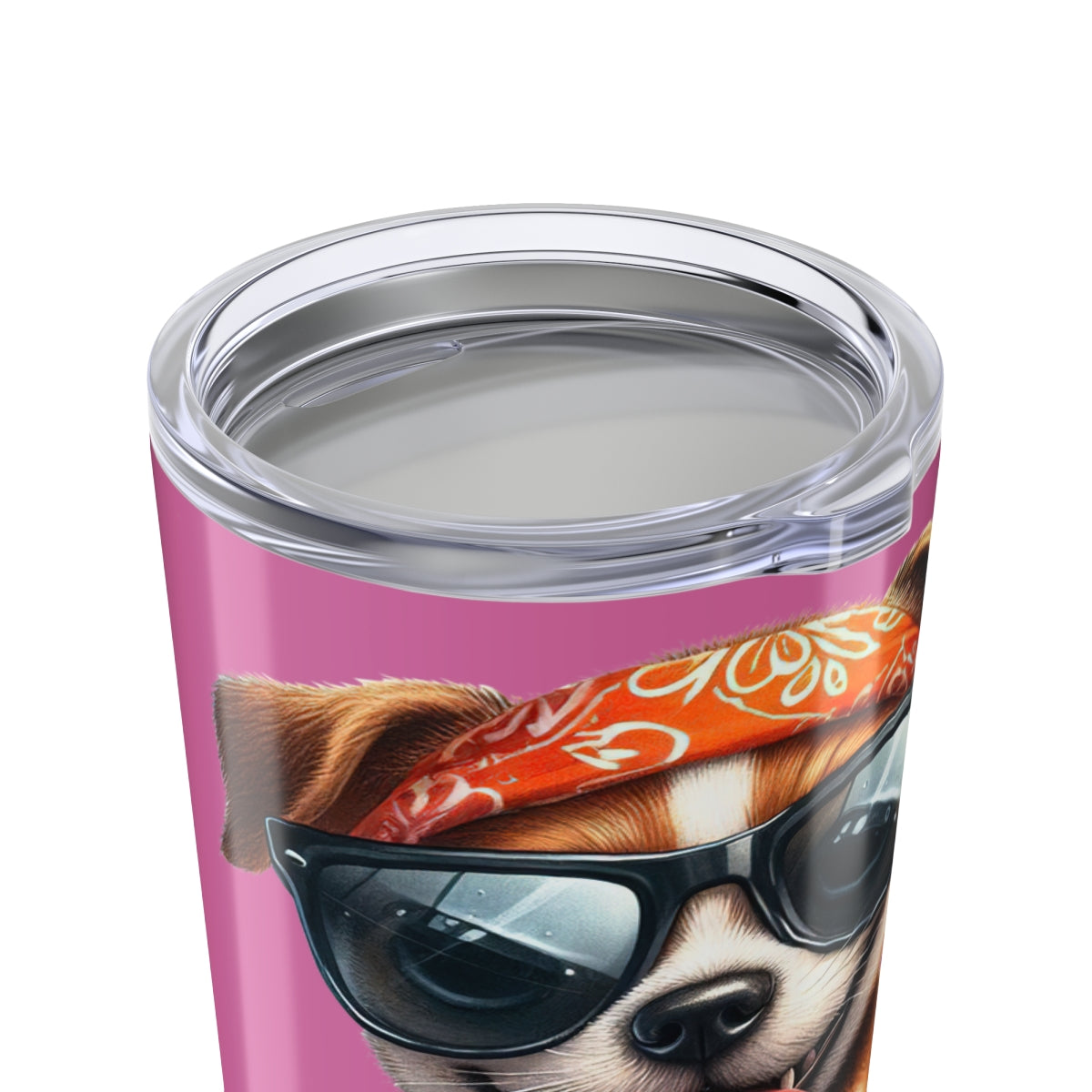 Fast But Not Furious Tumbler – 20oz Insulated Funny Dog Lover Gift