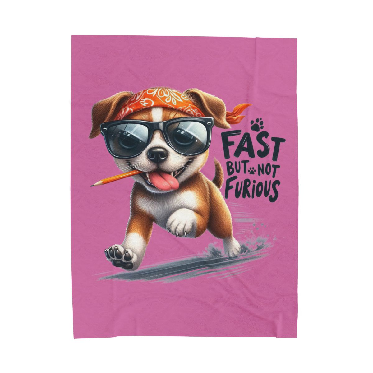 Fast But Not Furious Dog Blanket – Funny & Cozy Gift for Pet Lovers