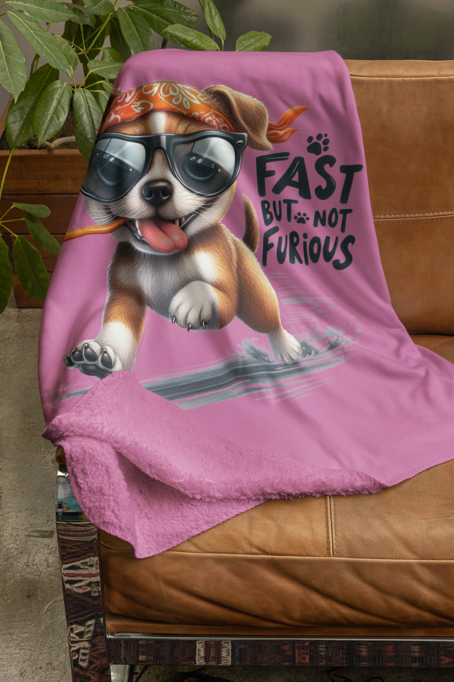 Fast But Not Furious Dog Blanket – Funny & Cozy Gift for Pet Lovers
