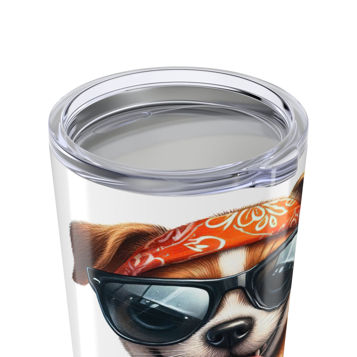 Fast But Not Furious Tumbler – 20oz Insulated Funny Dog Lover Gift