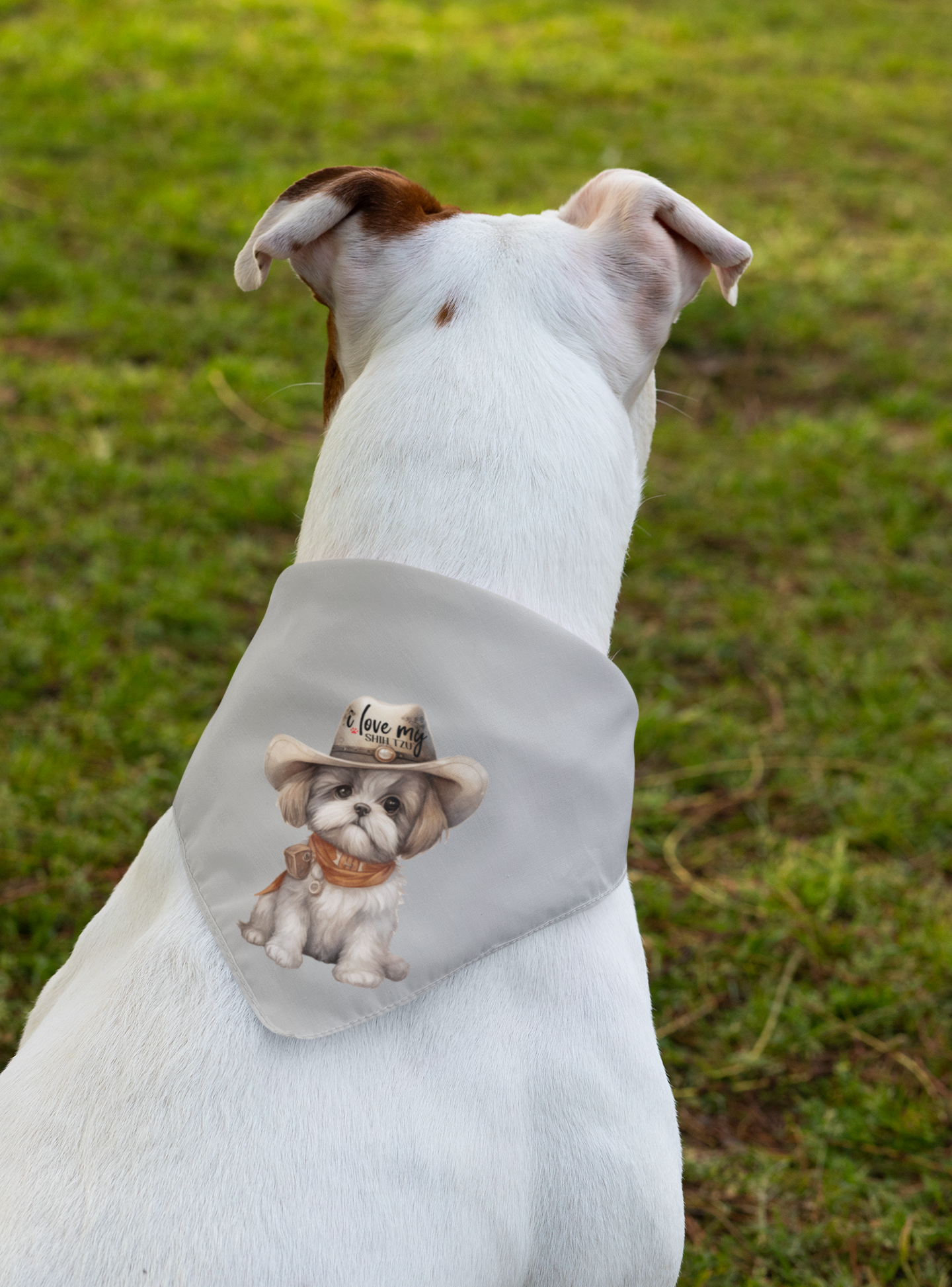 Cowboy Shih Tzu Pet Bandana