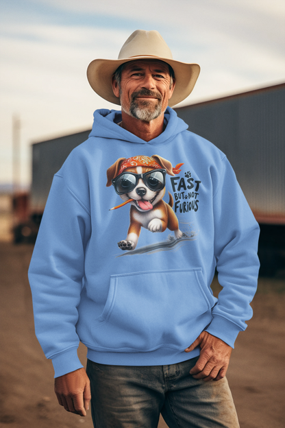 Fast But Not Furious Hoodie – Funny Gift for Car & Fitness Lovers
