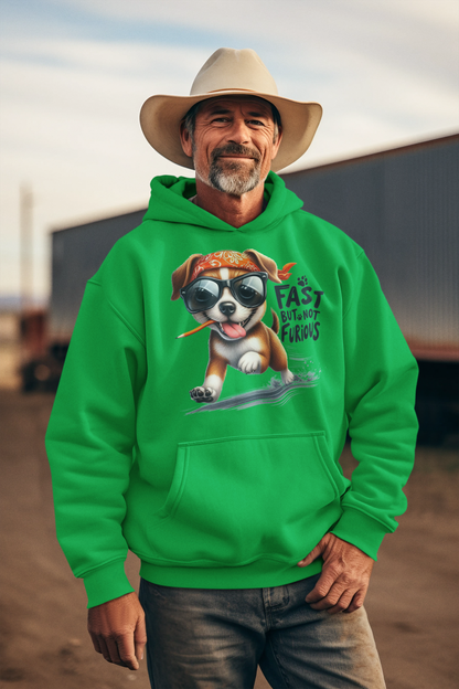 Fast But Not Furious Hoodie – Funny Gift for Car & Fitness Lovers