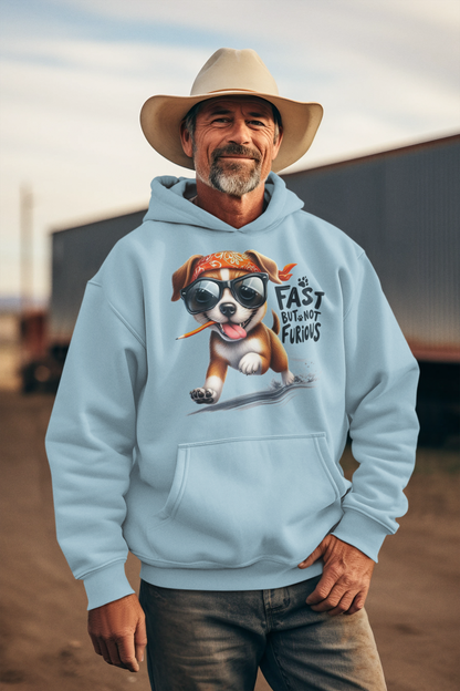 Fast But Not Furious Hoodie – Funny Gift for Car & Fitness Lovers
