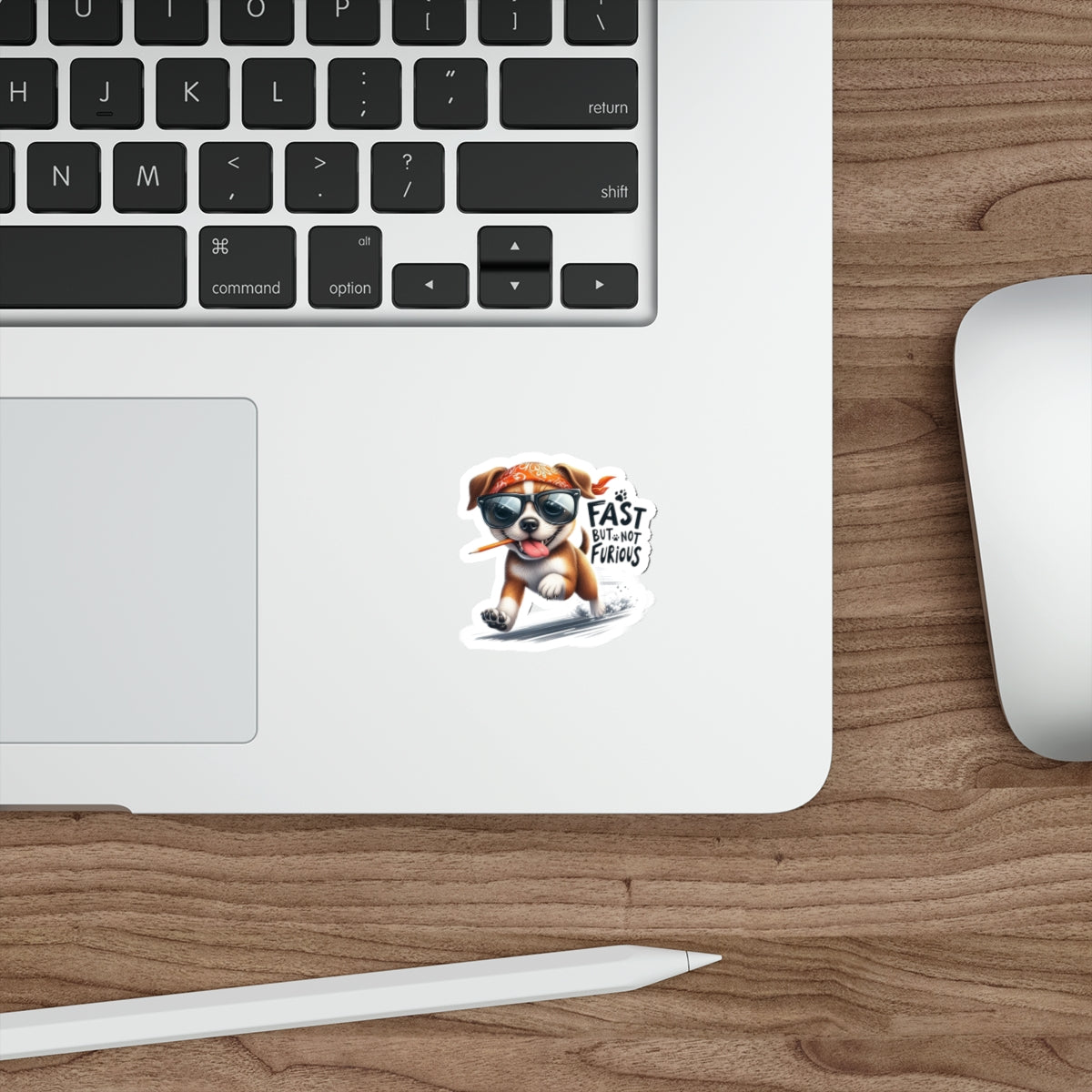 Fast But Not Furious Sticker – Funny Gift for Car & Speed Lovers