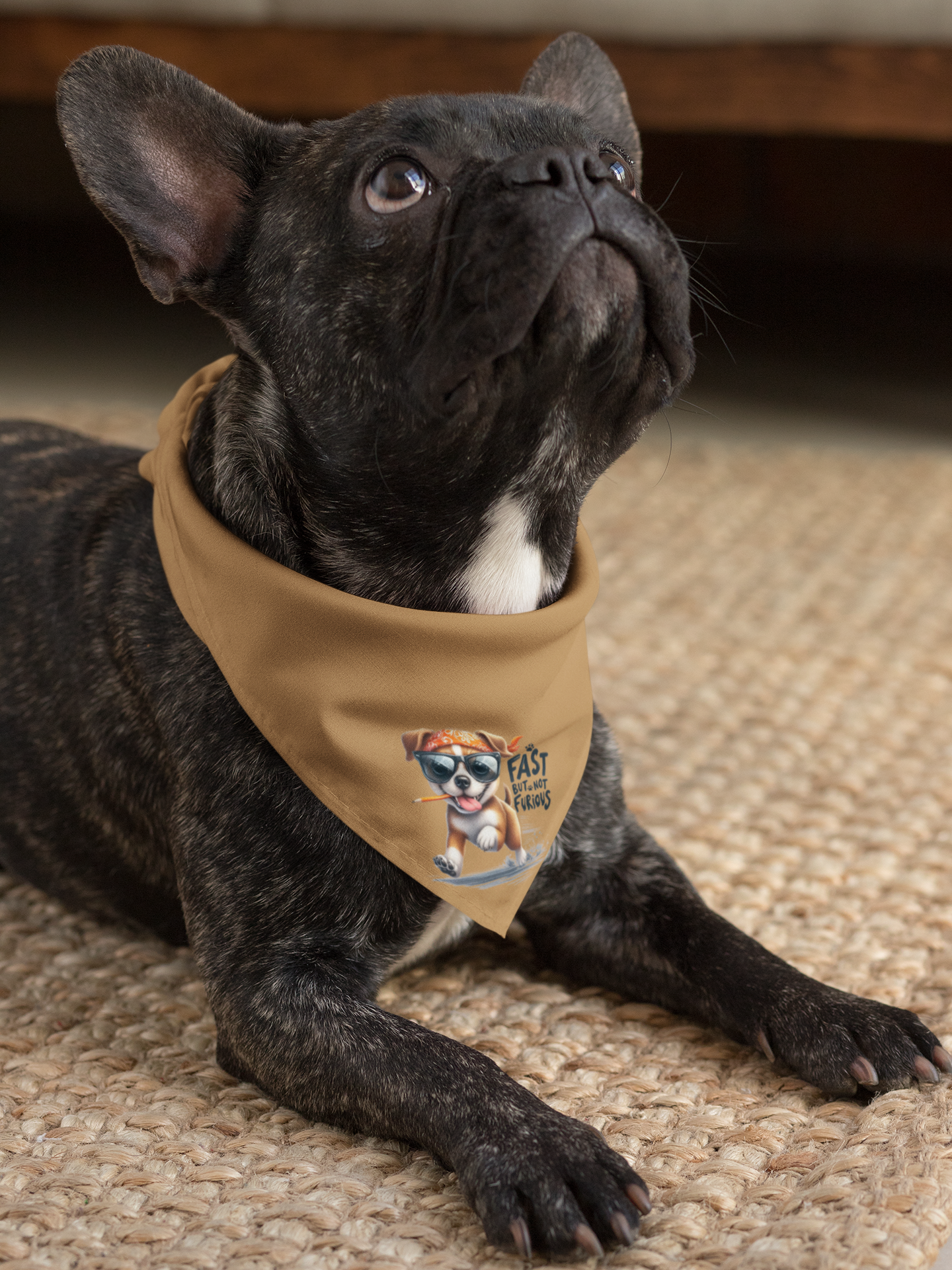 Fast But Not Furious Dog Bandana – Funny & Stylish Pet Accessory