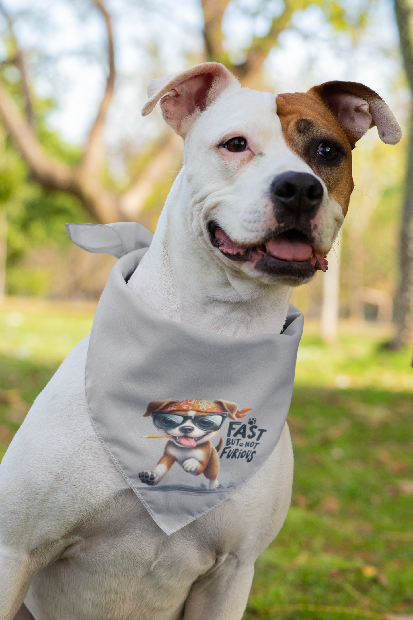 Fast But Not Furious Dog Bandana – Funny & Stylish Pet Accessory