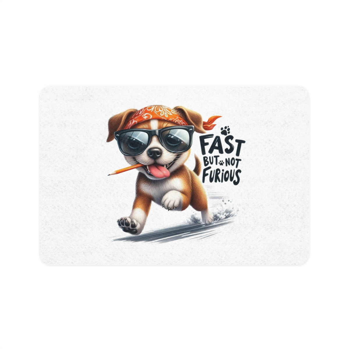 Funny "Fast But Not Furious" Pet Food Mat – 12x18 Non-Slip Mat