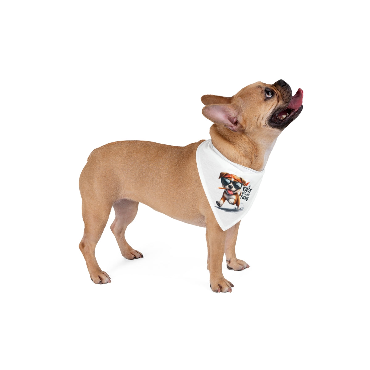 Fast But Not Furious Dog Bandana – Funny & Stylish Pet Accessory