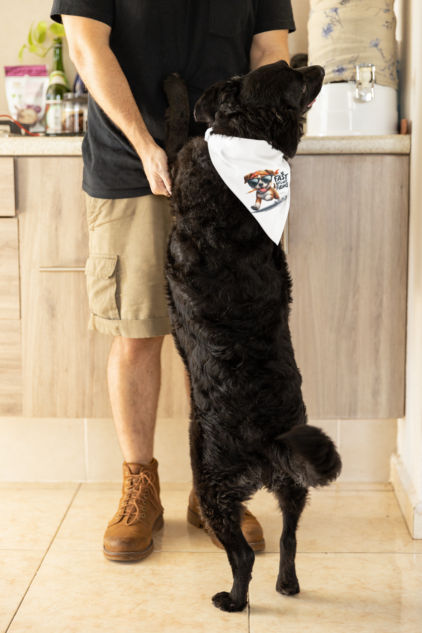 Fast But Not Furious Dog Bandana – Funny & Stylish Pet Accessory