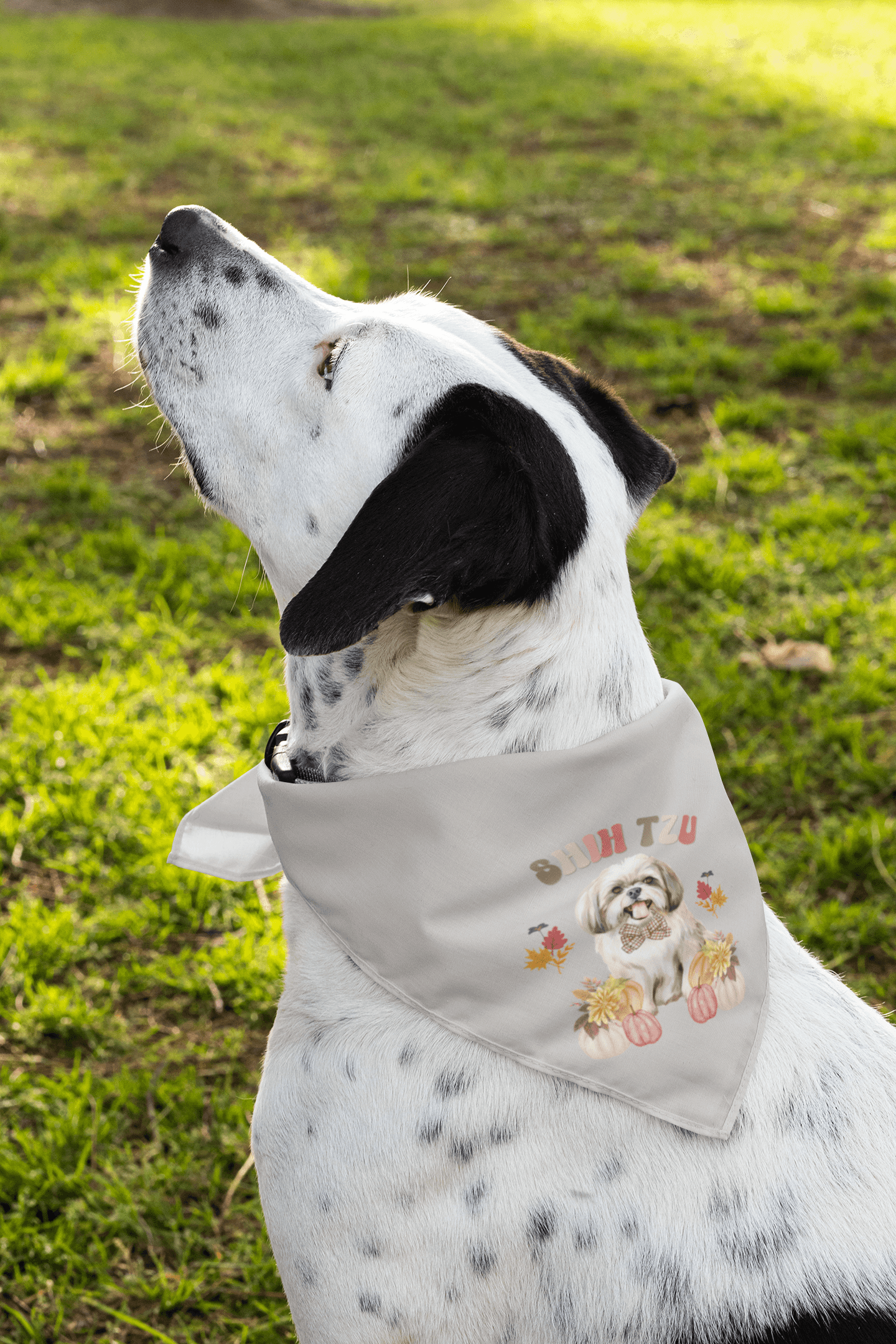 Shih Tzu In Fall Pet Bandana - Shih Tzu Gifts