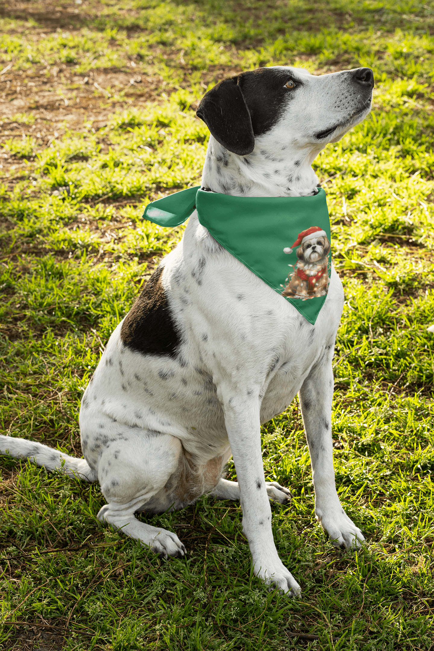 Shih Tzu Wearing a Christmas Hat and Wrapped in Lights Pet Bandana - Shih Tzu Gifts