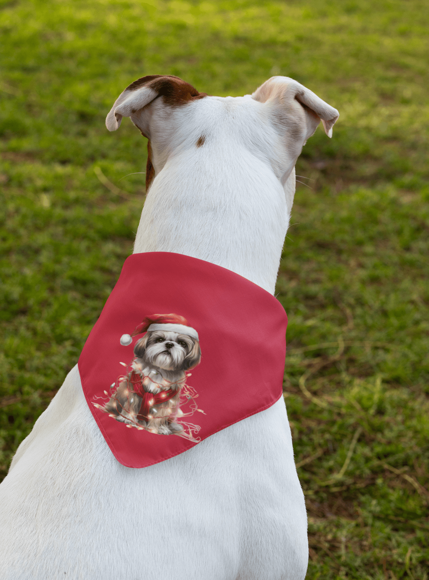 Shih Tzu Wearing a Christmas Hat and Wrapped in Lights Pet Bandana - Shih Tzu Gifts