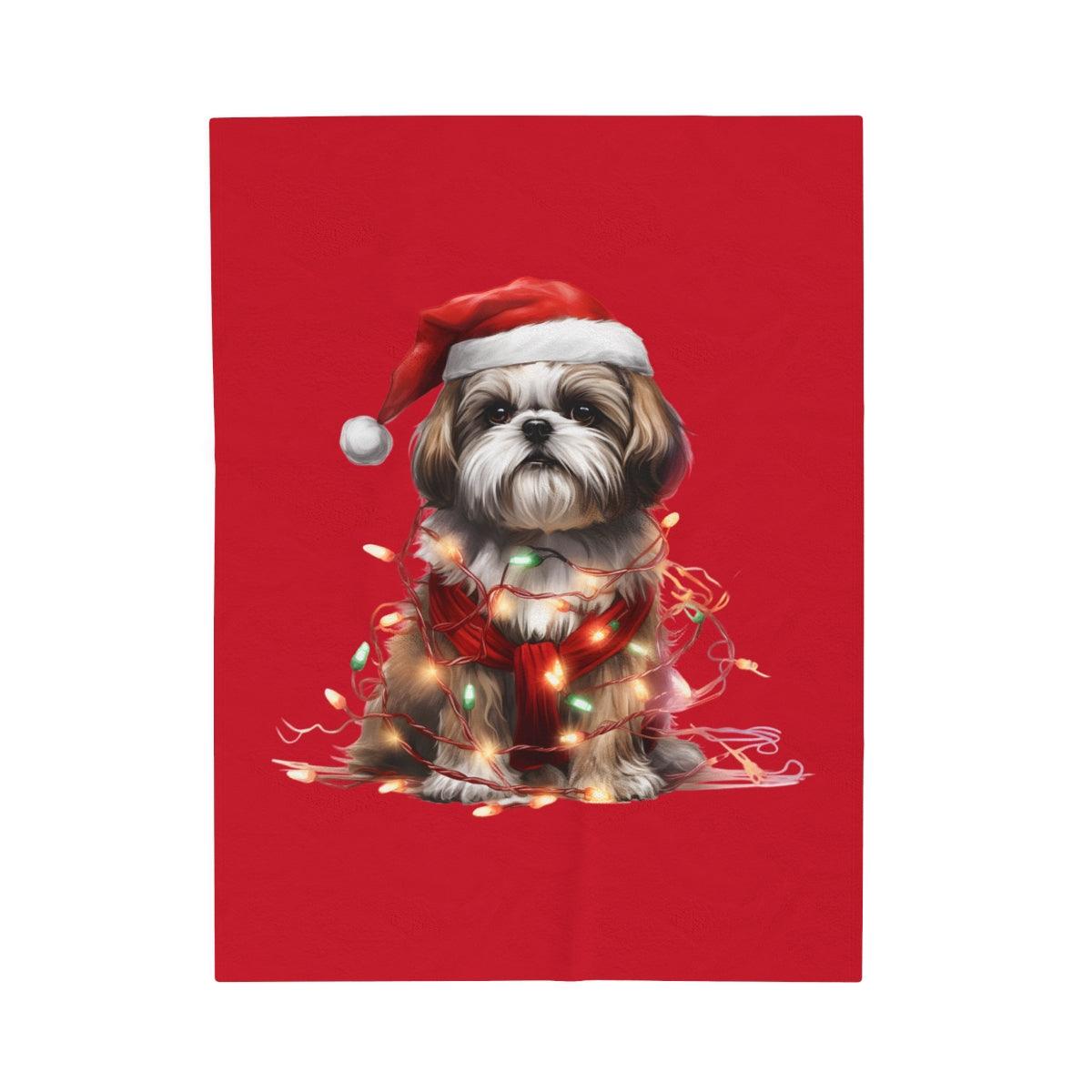 Shih Tzu Wearing a Christmas Hat and Wrapped in Lights Blanket - Shih Tzu Gifts