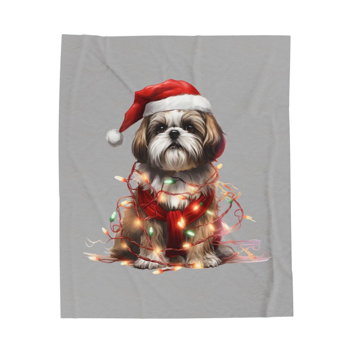 Shih Tzu Wearing a Christmas Hat and Wrapped in Lights Blanket - Shih Tzu Gifts