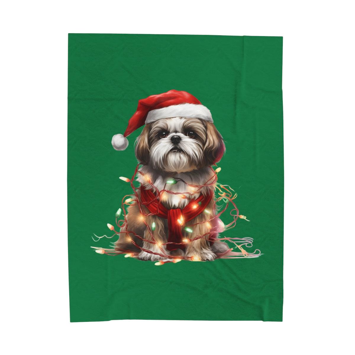 Shih Tzu Wearing a Christmas Hat and Wrapped in Lights Blanket - Shih Tzu Gifts