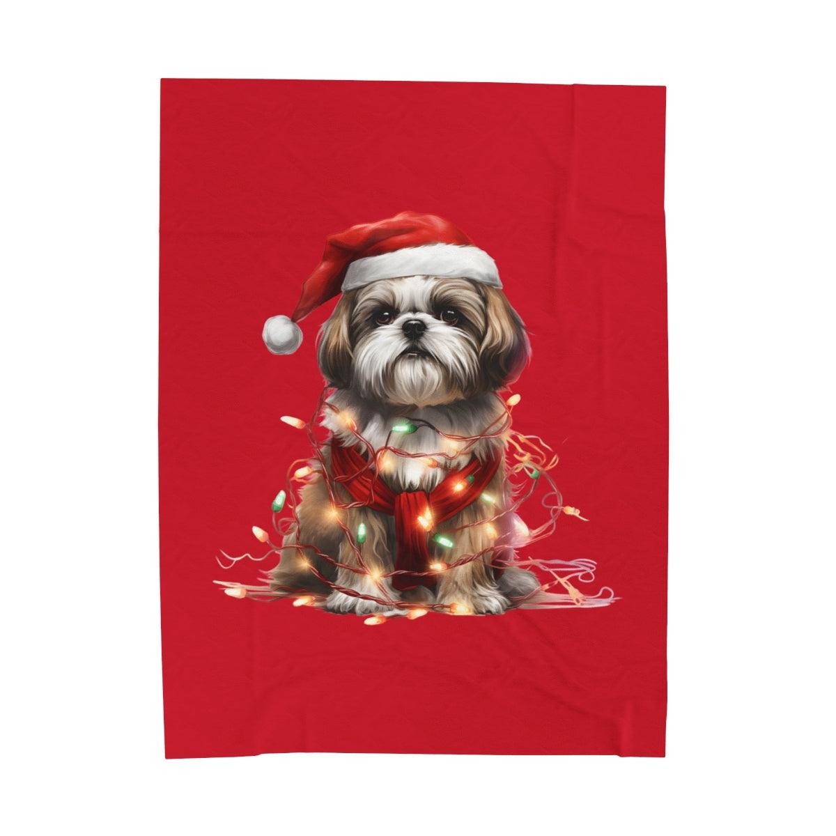 Shih Tzu Wearing a Christmas Hat and Wrapped in Lights Blanket - Shih Tzu Gifts